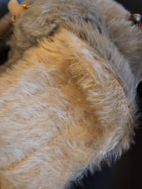 Image 6 of Vintage Merrythought Elephant 1950s