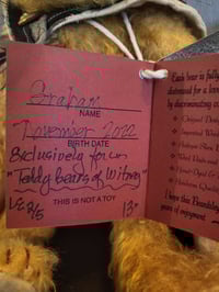 Image 5 of Deborah Beardsley Artist Bear 28cm "Graham"