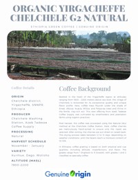 Image 4 of Dystopian Ethiopian