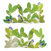 Image 2 of Laurel Blue Tits