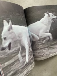 Image 3 of  It's Funny How I Met This Horse by Kateryna Lymar