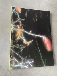 Image 1 of  It's Funny How I Met This Horse by Kateryna Lymar