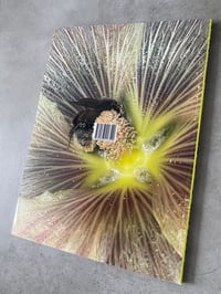 Image 9 of  It's Funny How I Met This Horse by Kateryna Lymar