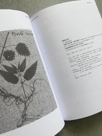 Image 5 of How to Heal? by Cranberry Juice