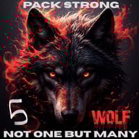 Image 6 of WOLFPACK HOODIES REGULAR 