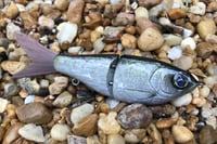 Image 2 of SPEEDBAITS Custom Airbrushed Glide Bait 730