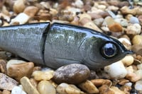 Image 8 of SPEEDBAITS Custom Airbrushed Glide Bait 730