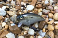 Image 2 of SPEEDBAITS Custom Airbrushed BFS Flatside Wakebait 859