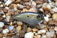 Image 4 of SPEEDBAITS Custom Airbrushed BFS Flatside Wakebait 859