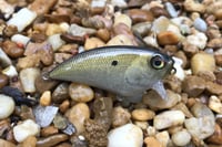 Image 5 of SPEEDBAITS Custom Airbrushed BFS Flatside Wakebait 859