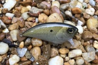 Image 6 of SPEEDBAITS Custom Airbrushed BFS Flatside Wakebait 859