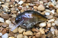 Image 5 of Custom Airbrushed S-CRANK 1.5 Squarebill Crankbait 1072