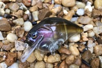 Image 1 of Custom Airbrushed S-CRANK 1.5 Squarebill Crankbait 1072