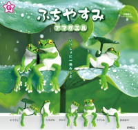 Fuchiyasumi Tree Frog 🐸🌧️