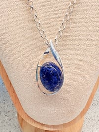 Image 1 of Blue Cornflower Petal Leaf Drop