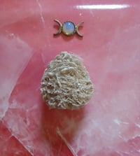 Image 1 of Desert Rose Selenite  Sacred Clarity • Inner Stillness • Soul Protection