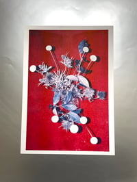 Achat livre Some things go without saying + Tirage RISO A3