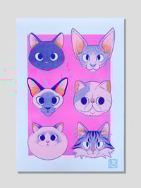 Cat Breeds - A4 Flourescent Risograph Print 