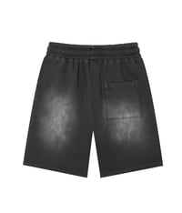Image 2 of Washed Wyezy world shorts 