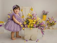 Image 8 of Baby Wagon in natural optic