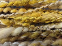 Image 1 of Helianthus 