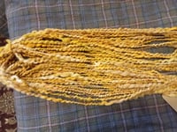 Image 3 of Helianthus 