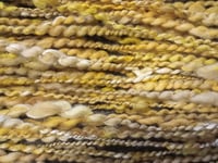 Image 4 of Helianthus 