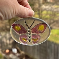 Image 2 of Fused Glass Fuschia/Pink Butterfly Sun Catcher