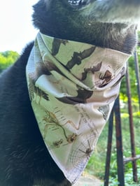 Image 6 of Vintage Anatomy Critter Poster Bandana 