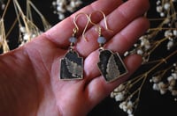Image 3 of Cemetery Fern Earrings