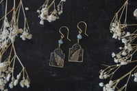 Image 1 of Cemetery Fern Earrings