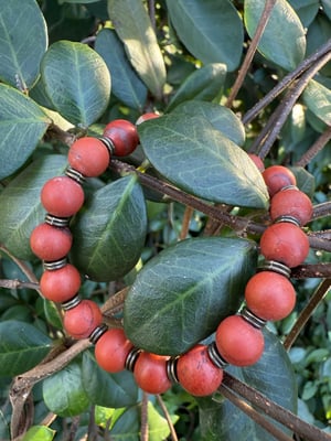 10mm Matte Red Jasper Stretch Bracelet 