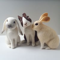 Image 3 of Workshop Registration - Bunny