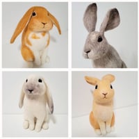 Image 2 of Workshop Registration - Bunny