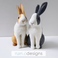 Image 4 of Workshop Registration - Bunny