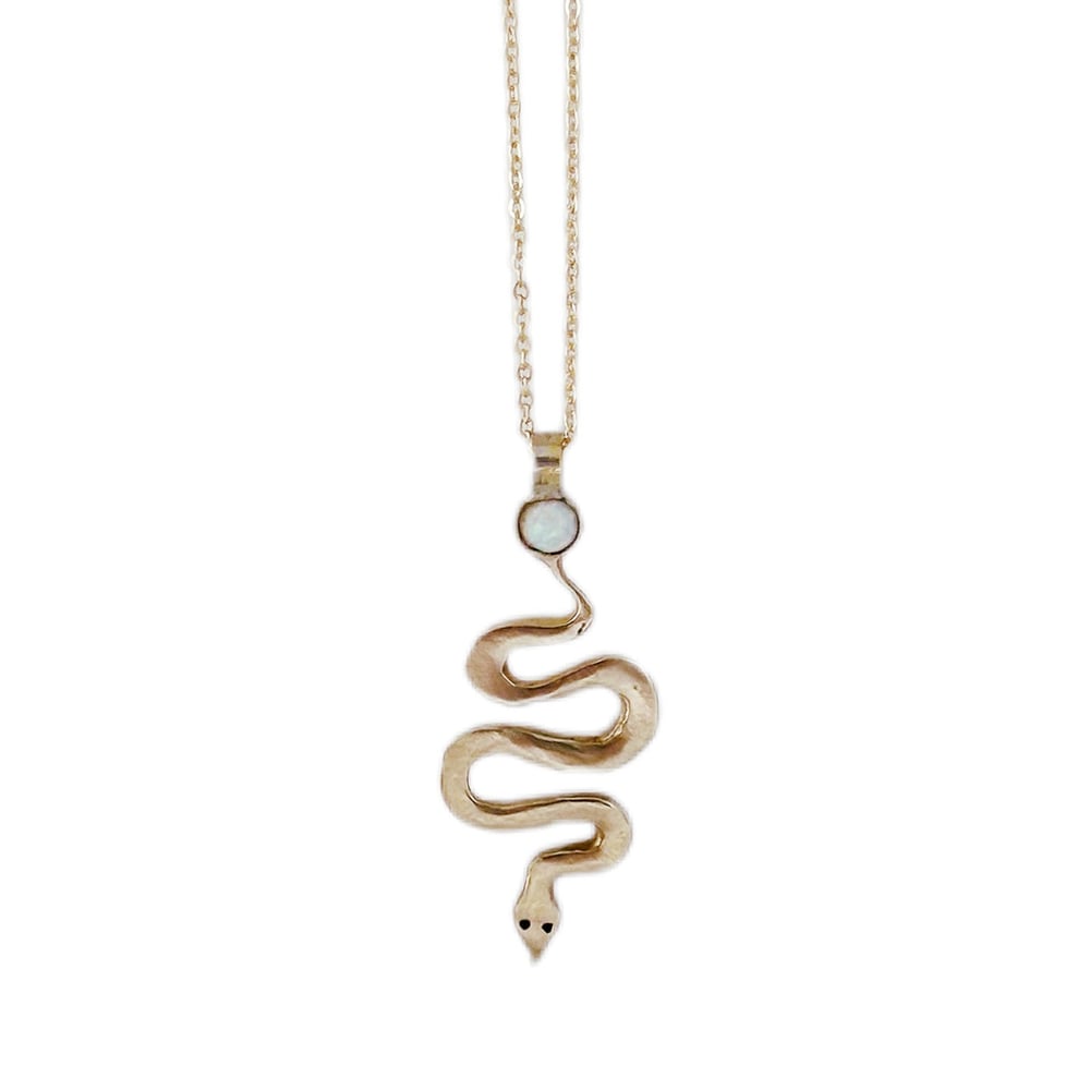 Image of Snake Necklace
