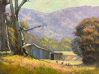 Image 1 of Along The Meroo River