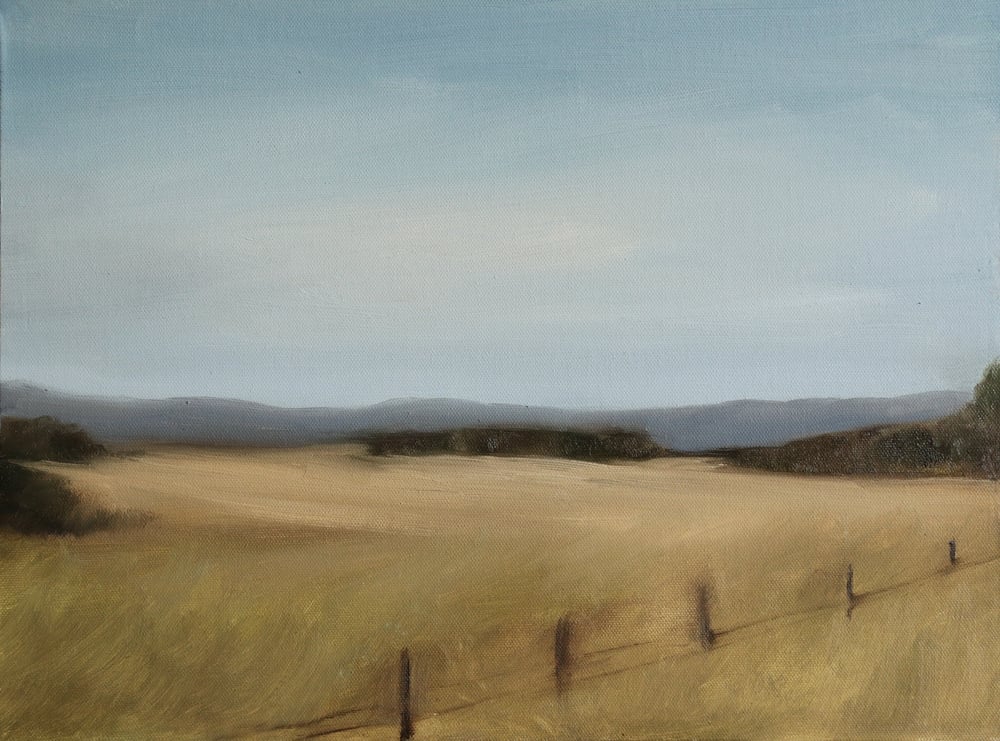 Image of Champs sous un ciel d'été