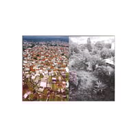 Image 3 of And Everything in Between Zine