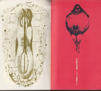 Image 15 of Shuji Terayama's "American Hell Tour" (1969)