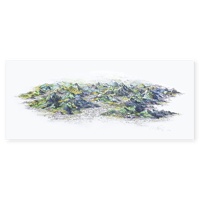 Image 1 of Mes Alpes / Custom III