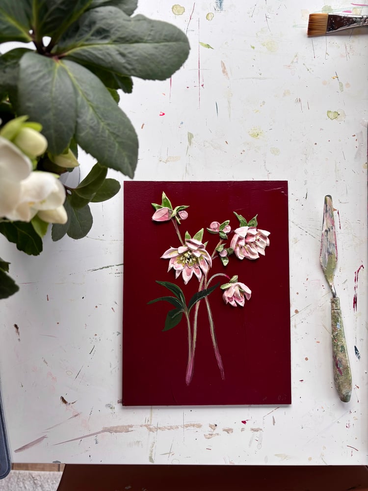 Image of Hellebore On Burgundy I