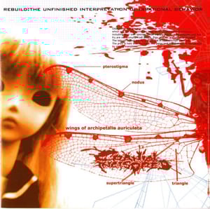 Image of Rebuild:The Unfinished Interpretation of Irrational Behavior CD