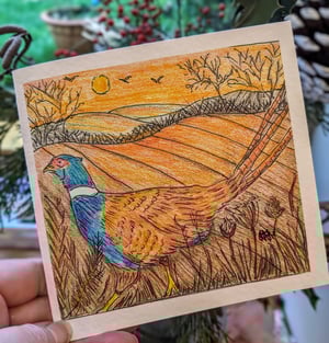 Image of All 5 Winter scenes  for £10