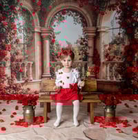 Image 4 of Valentine Minis 2026 - Monday 2nd February