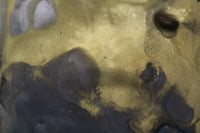 Image 5 of Fessura #2