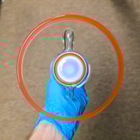 Image 6 of CORAL > OPALINE & MARINA HORNET