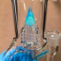 Image 4 of CORAL > OPALINE & MARINA HORNET