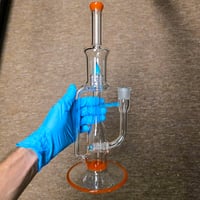 Image 1 of CORAL > OPALINE & MARINA HORNET