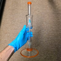 Image 3 of CORAL > OPALINE & MARINA HORNET